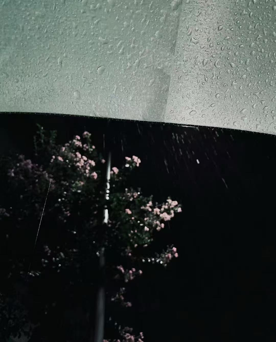 雨天